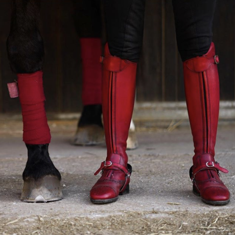 POLO / Red
